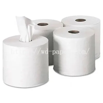Rouleaux de papier toilette recyclés